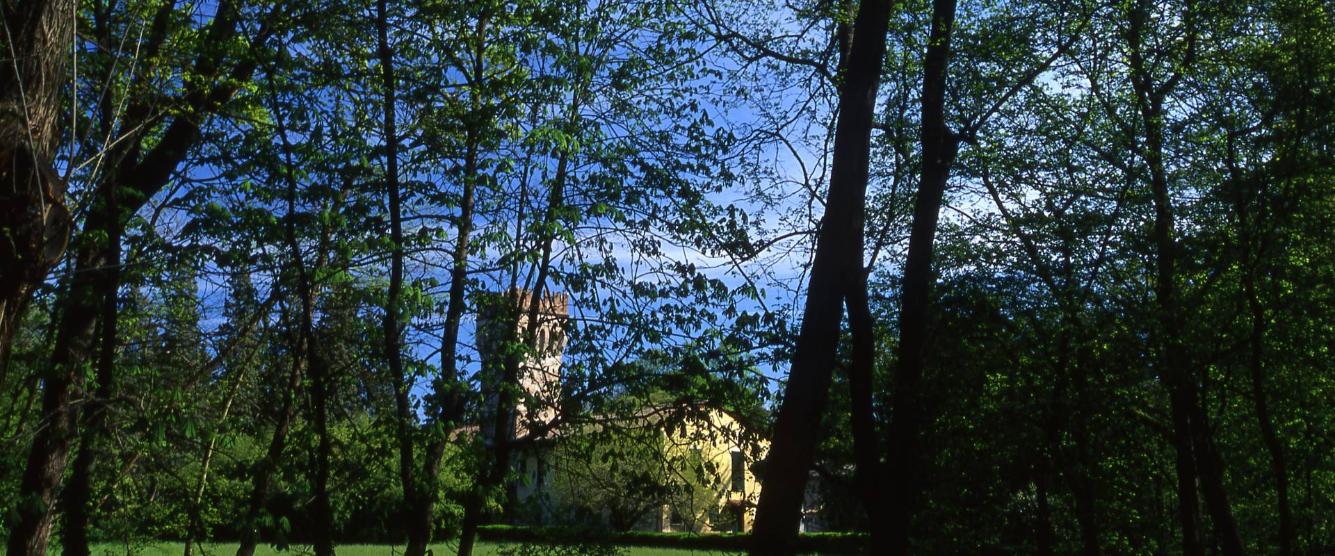 Villa Massari-Ricasoli foto di Meneghetti